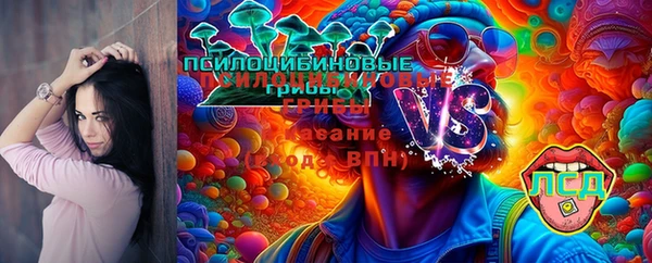 прущая мука Белокуриха