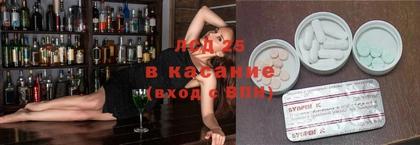 прущие грибы Баксан